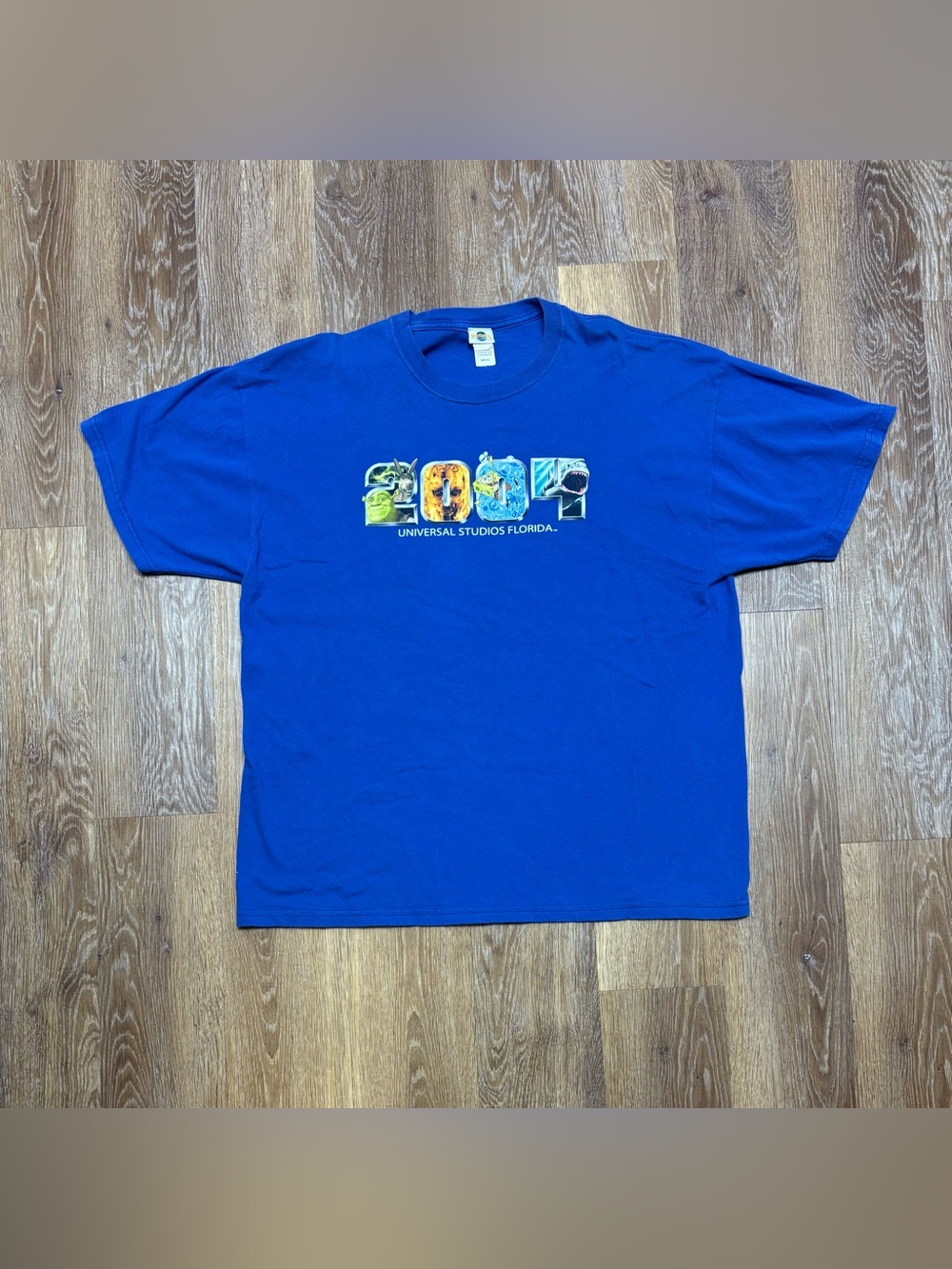 Universal Blue Graphic T-Shirt with Multicolor Universal Studios Design